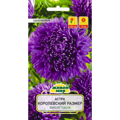 Семена Астра Королевский размер фиолетовая (W. Legutko) 0,3 г, РБ