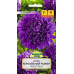 Семена Астра Королевский размер фиолетовая (W. Legutko) 0,3 г, РБ