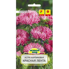 Семена Астра Красная лента карликовая (W. Legutko) 0,3 г, РБ
