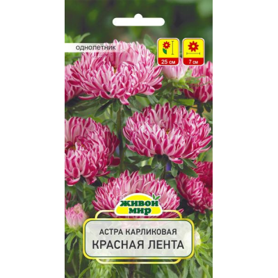 Семена Астра Красная лента карликовая (W. Legutko) 0,3 г, РБ