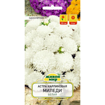 Семена Астра Миледи белая карликовая (W. Legutko) 0,3 г, РБ