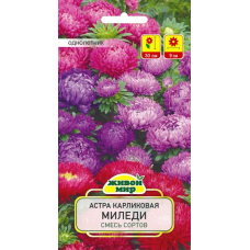 Семена Астра Миледи карликовая смесь сортов (W. Legutko) 0,5 г, РБ