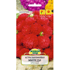 Семена Астра Миледи красная карликовая (W. Legutko) 0,3 г, РБ