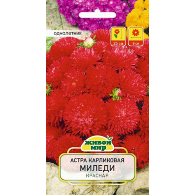 Семена Астра Миледи красная карликовая (W. Legutko) 0,3 г, РБ