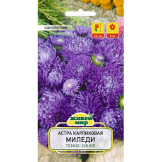 Семена Астра Миледи темно-синяя карликовая (W. Legutko) 0,3 г, РБ