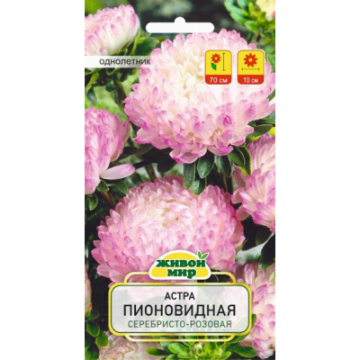Семена Астра Пионовидная серебристо-розовая (W. Legutko) 0,3 г, РБ