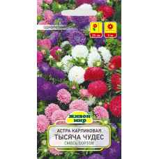 Семена Астра Тысяча чудес карликовая смесь (W. Legutko) 0,3 г, РБ