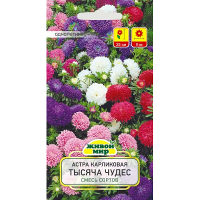 Семена Астра Тысяча чудес карликовая смесь (W. Legutko) 0,3 г, РБ