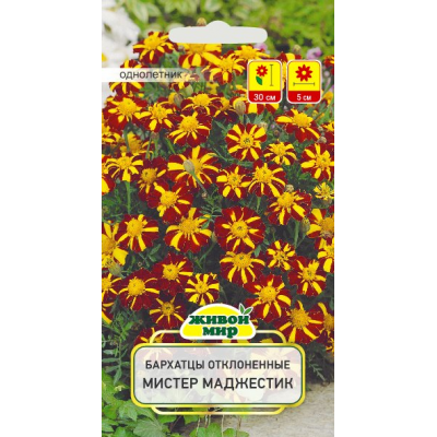 Семена Бархатцы откл. Мистер Маджестик (W. Legutko) 0,3 г, РБ