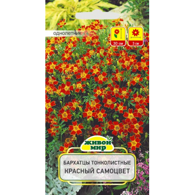 Семена Бархатцы тонколист. Красный самоцвет (W. Legutko) 0,2 г, РБ