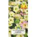 Семена Петуния ампельная крупноцветковая Лавина Желтый каприз F1 (Cerny seed) 10 шт, РБ