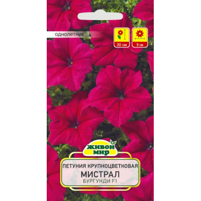 Семена Петуния крупноцветковая Мистрал Бургунди F1 (Cerny seed) 10 шт, РБ