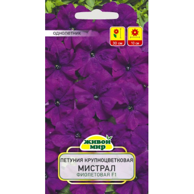 Семена Петуния крупноцветковая Мистрал Фиолетовая F1 (Cerny seed) 10 шт, РБ
