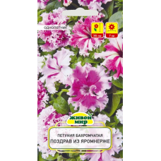 Семена Петуния крупноцветковая бахромчатая Поздрав из Яромнерже (Cerny seed) 10 шт, РБ