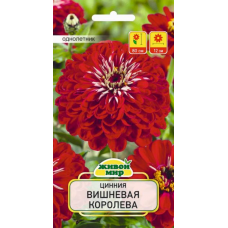 Семена Цинния Вишневая королева (W. Legutko) 1 г, РБ