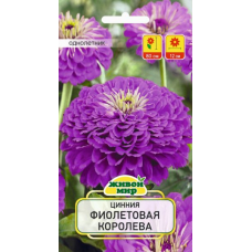 Семена Цинния Фиолетовая королева (W. Legutko) 1 г, РБ
