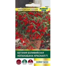 Бегония боливийская Копакабана Красная F1, 5 семян (Cerny seed, Чехия)