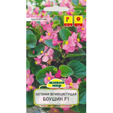 Бегония вечноцветущая Боушин F1, 10 семян (Cerny seed, Чехия)