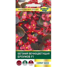 Бегония вечноцветущая Броумов F1, 10 семян (Cerny seed, Чехия)