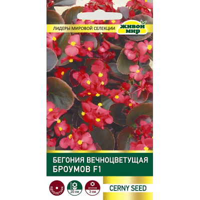 Бегония вечноцветущая Броумов F1, 10 семян (Cerny seed, Чехия)
