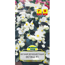 Бегония вечноцветущая Осташ F1, 10 семян (Cerny seed, Чехия)