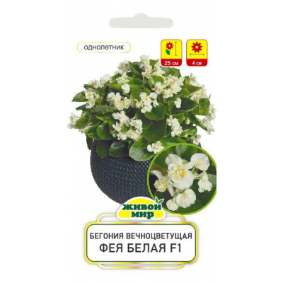 Бегония вечноцветущая Фея белая F1, 10 семян (Cerny seed, Чехия)