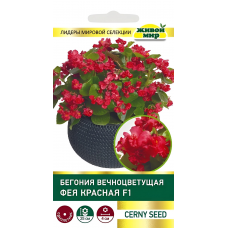 Бегония вечноцветущая Фея красная F1, 10 семян (Cerny seed, Чехия)