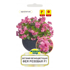 Бегония вечноцветущая Фея розовая F1, 10 семян (Cerny seed, Чехия)