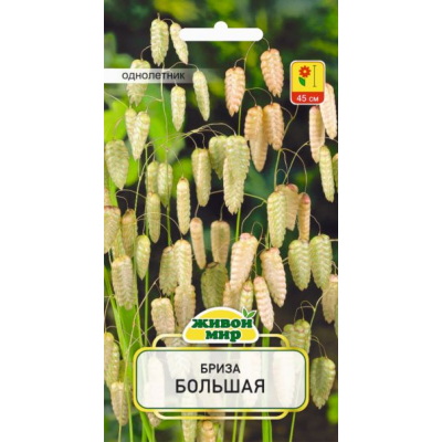 Семена Бриза Большая (W. Legutko) 0,3 г, РБ