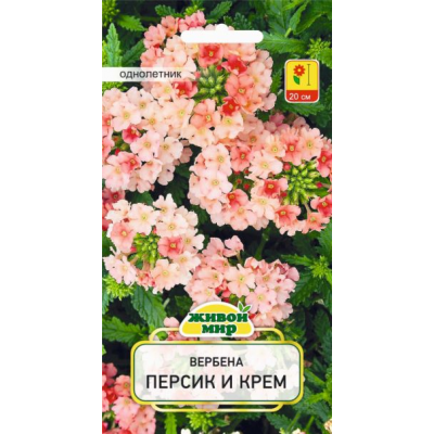 Семена Вербена Персик и крем (W. Legutko) 0,1 г, РБ