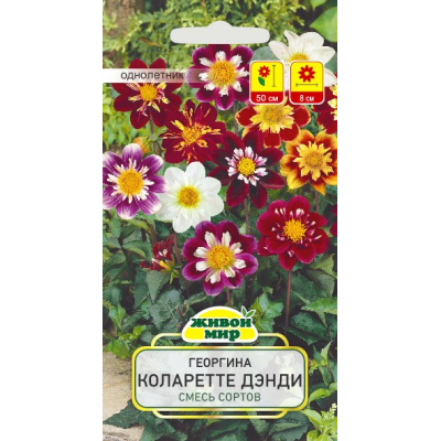 Семена Георгина Коларетте Дэнди смесь сортов (W. Legutko) 0,5 г, РБ