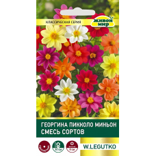 Георгина Пикколо Миньон, смесь сортов 0,5г (W. Legutko, Польша)