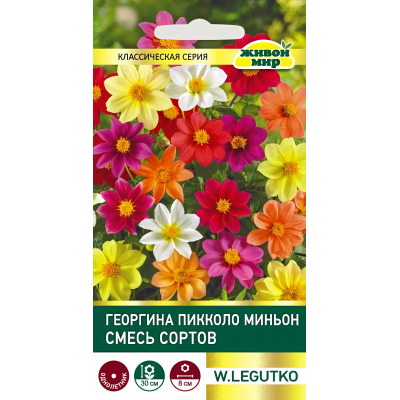 Георгина Пикколо Миньон, смесь сортов 0,5г (W. Legutko, Польша)