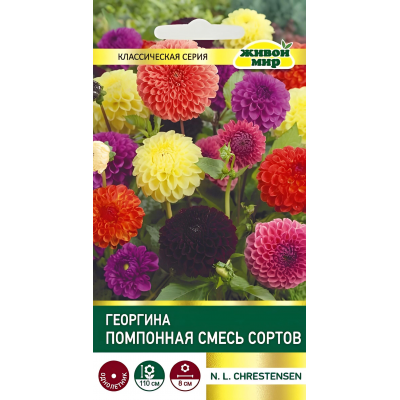 Георгина Помпонная, смесь сортов 0,3г (W. Legutko, Польша)