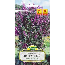 Семена Долихос Пурпурный смесь сортов (W. Legutko) 4 шт, РБ