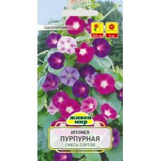 Семена Ипомея пурпурная смесь сортов (N.L.Chrestensen) 2 г, РБ
