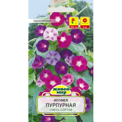 Семена Ипомея пурпурная смесь сортов (N.L.Chrestensen) 2 г, РБ