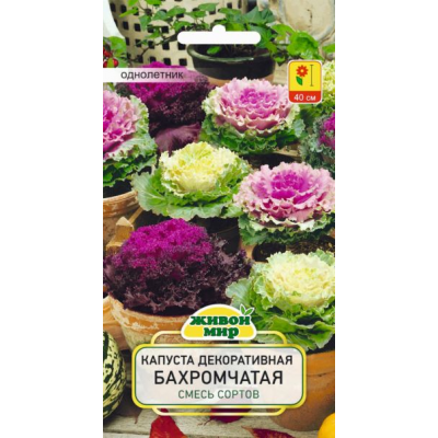Семена Капуста декоративная Бахромчатая смесь сортов (W. Legutko) 0,3 г, РБ