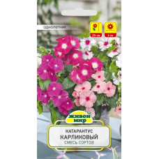 Семена Катарантус розовый Карликовый смесь сортов (W. Legutko) 0,1 г, РБ