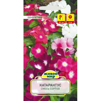 Семена Катарантус смесь сортов (W. Legutko) 0,1 г, РБ