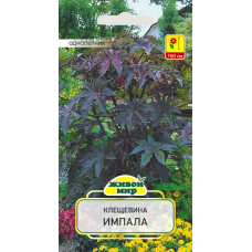 Семена Клещевина Импала (N.L.Chrestensen) 3 г, РБ