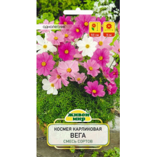 Семена Космея Вега карликовая смесь сортов (W. Legutko) 0,5 г, РБ