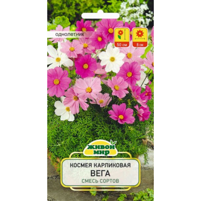 Семена Космея Вега карликовая смесь сортов (W. Legutko) 0,5 г, РБ