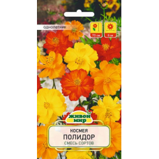 Семена Космея Полидор смесь сортов (W. Legutko) 1 г, РБ