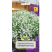 Семена Лобелия ампельная Белый каскад (W. Legutko) 0,1 г, РБ Семена Лобелия ампельная Белый каскад (W. Legutko) 0,1 г, РБ