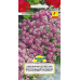 Семена Лобулярия (Алиссум) Розовый ковер (W. Legutko) 0,3 г, РБ Семена Лобулярия (Алиссум) Розовый ковер (W. Legutko) 0,3 г, РБ