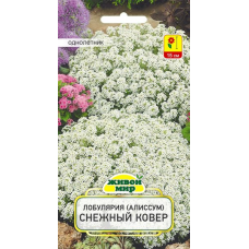Семена Лобулярия (Алиссум) Снежный ковер (W. Legutko) 0,3 г, РБ