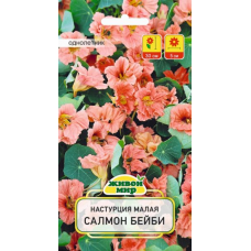 Семена Настурция малая Салмон Беби (W. Legutko) 1 г, РБ