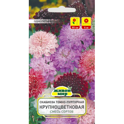 Семена Скабиоза темно-пурпурная Крупноцветковая смесь сортов (W. Legutko) 0,3 г, РБ