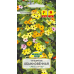 Семена Тунбергия обыкновенная смесь сортов (W. Legutko) 0,3 г, РБ Семена Тунбергия обыкновенная смесь сортов (W. Legutko) 0,3 г, РБ